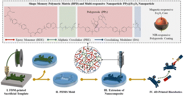 Graphical abstract: Development of novel multi-responsive 4D printed smart nanocomposites with polypyrrole coated iron oxides for remote and adaptive transformation