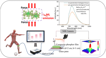 Graphical abstract: Self-recoverable broadband near infrared mechanoluminescence from BaGa12O19:Cr3+ using a multi-site occupation strategy