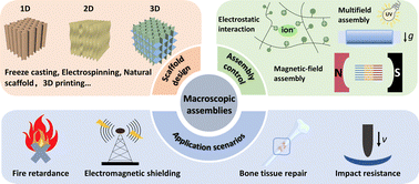 Graphical abstract: A reflection on ‘A shape-memory scaffold for macroscale assembly of functional nanoscale building blocks’
