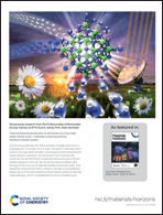 Graphical abstract: Back cover