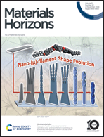 Graphical abstract: Front cover