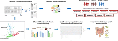 Graphical abstract: Species-level identification of enterotype-specific microbial markers for colorectal cancer and adenoma