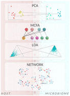 Graphical abstract: Integrating host and microbiome biology using holo-omics