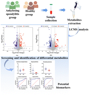 Graphical abstract: Serum metabolomics reveals the metabolic profile and potential biomarkers of ankylosing spondylitis