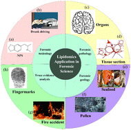 Graphical abstract: Lipidomics in forensic science: a comprehensive review of applications in drugs, alcohol, latent fingermarks, fire debris, and seafood authentication