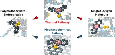 Graphical abstract: Atomistic simulations of mechanically activated reactions for oxygen release from polymers