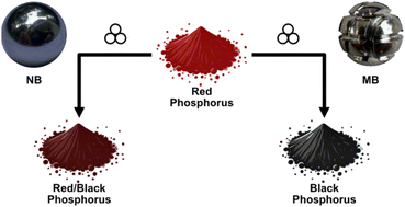 Graphical abstract: Exploring mass transfer as a parameter in mechanochemical processes
