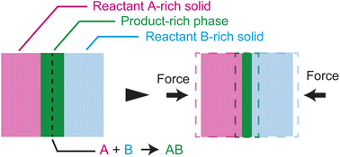 Graphical abstract: Scaling theory for the kinetics of mechanochemical reactions with convective flow