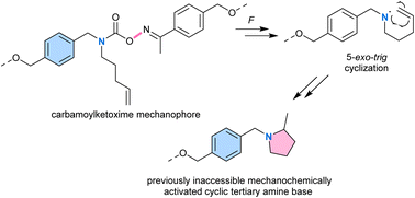Graphical abstract: Mechanochemical generation of nitrogen-centred radicals for the formation of tertiary amines in polymers