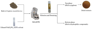 Graphical abstract: Mechanochemistry assisted aqueous two-phase extraction: an efficient technique to extract high-purity juglone from the bark of Juglans mandshurica