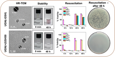 Graphical abstract: Overcoming microbial resuscitation using stable ultrafine gold nanosystems