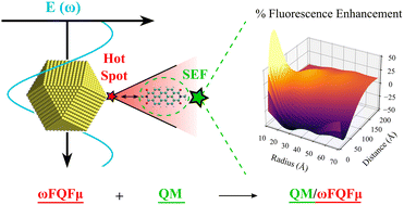 Graphical abstract: Multiscale modeling of surface enhanced fluorescence