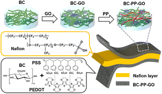 Graphical abstract: Self-standing bacterial cellulose-reinforced poly(3,4-ethylenedioxythiophene)/poly(4-styrenesulfonate) doped with graphene oxide composite electrodes for high-performance ionic electroactive soft actuators