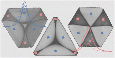 Graphical abstract: Determination and investigation of defect domains in multi-shape monolayer tungsten disulfide