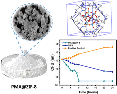 Graphical abstract: Zeolitic imidazolate framework-8 encapsulated with Mo-based polyoxometalates as surfaces with antibacterial activity against Escherichia coli