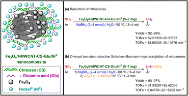 Graphical abstract: NiII-containing l-glutamic acid cross-linked chitosan anchored on Fe3O4/f-MWCNT: a sustainable catalyst for the green reduction and one-pot two-step reductive Schotten–Baumann-type acetylation of nitroarenes