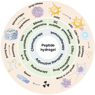 Graphical abstract: Applications of self-assembled peptide hydrogels in anti-tumor therapy