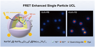 Graphical abstract: Single-particle Förster resonance energy transfer from upconversion nanoparticles to organic dyes