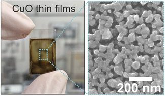 Graphical abstract: On the structural evolution of nanoporous optically transparent CuO photocathodes upon calcination for photoelectrochemical applications