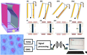 Graphical abstract: Triboelectric–electromagnetic hybrid nanogenerator for harvesting blue energy and creating an ocean wave warning system