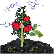 Graphical abstract: A multidentate copper complex on magnetic biochar nanoparticles as a practical and recoverable nanocatalyst for the selective synthesis of tetrazole derivatives