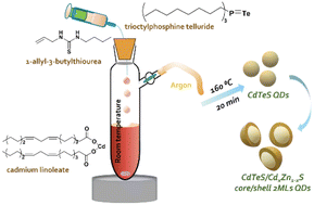 Graphical abstract: Disubstituted thiourea as a suitable sulfur source in the gram-scale synthesis of yellow- and red-emitting CdTeS/CdxZn1−xS core/shell quantum dots