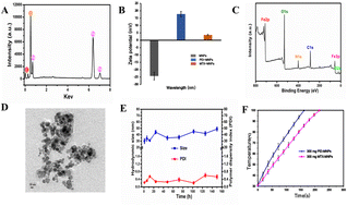 Graphical abstract: Study on the therapeutic effect and some immune factors by methotrexate modified superparamagnetic nanoparticles in rat mammary tumors