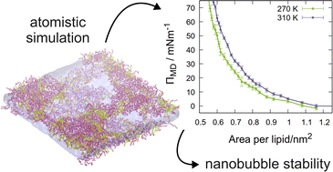 Graphical abstract: Ruptures of mixed lipid monolayers under tension and supercooling: implications for nanobubbles in plants