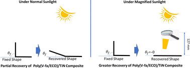 Graphical abstract: Development of a magnified sunlight responsive shape memory bio-composite: effects of titanium nitride (TiN) nanoparticles on a bio-based benzoxazine/epoxy copolymer