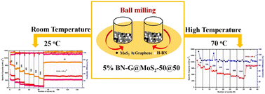 Graphical abstract: A 2D hybrid nanocomposite: a promising anode material for lithium-ion batteries at high temperature