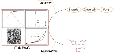 Graphical abstract: Studying the synthesis, antimicrobial activity, and phenol red removal of gelatin-stabilized copper nanoparticles