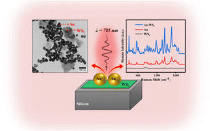 Graphical abstract: Highly sensitive label-free biomolecular detection using Au–WS2 nanohybrid based SERS substrates