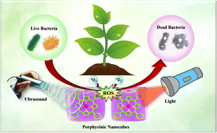 Graphical abstract: Green synthesis of porphyrin-based self-assembled nanocubes for augmented sono-photodynamic inactivation of bacteria: a sustainable approach towards advanced antimicrobial strategies