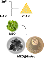 Graphical abstract: Synergistic antioxidant and antibacterial effects of a Zn-ascorbate metal–organic framework loaded with marjoram essential oil