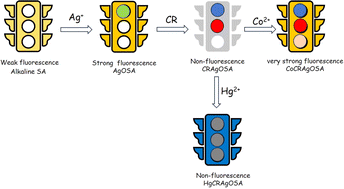 Graphical abstract: Simultaneous ionic cobalt sensing and toxic Congo red dye removal: a circular economic approach involving silver-enhanced fluorescence