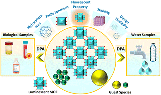 Graphical abstract: Synthesis and applications of luminescent metal organic frameworks (MOFs) for sensing dipicolinic acid in biological and water samples: a review