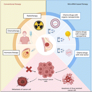 Graphical abstract: Targeting drug resistance in breast cancer: the potential of miRNA and nanotechnology-driven delivery systems