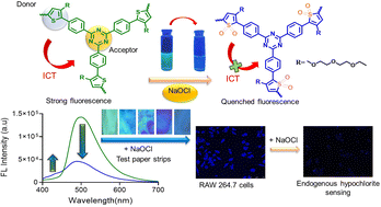 Graphical abstract: Engaging a highly fluorescent conjugated polymer network for probing endogenous hypochlorite in macrophage cells: improved sensitivity via signal amplification