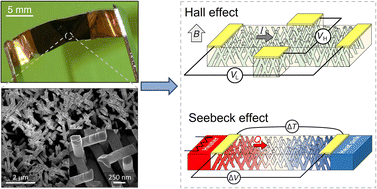 Graphical abstract: Improved electrical and thermoelectric properties of electrodeposited Bi1−xSbx nanowire networks by thermal annealing