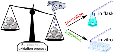 Graphical abstract: A PVP-stabilized cerium oxide–platinum nanocomposite synthesized in TEG: pro-/antioxidant activities