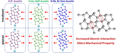 Graphical abstract: New phases of 2D group-VA nanostructures with unusual auxetic mechanical properties induced by the regularity of the interatomic interaction force