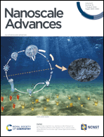 Graphical abstract: Inside front cover