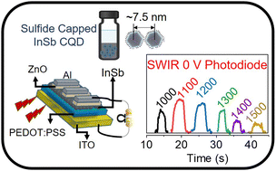 Graphical abstract: Rational ligand design for enhanced carrier mobility in self-powered SWIR photodiodes based on colloidal InSb quantum dots