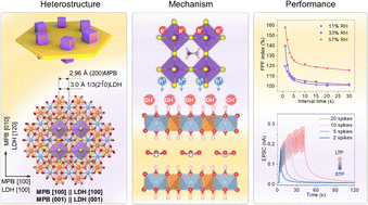Graphical abstract: Heterointerface engineering of layered double hydroxide/MAPbBr3 heterostructures enabling tunable synapse behaviors in a two-terminal optoelectronic device