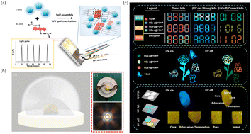 Graphical abstract: Recent advances in fluorescence and afterglow of CDs in matrices