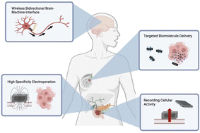 Graphical abstract: Foundational insights for theranostic applications of magnetoelectric nanoparticles