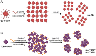 Graphical abstract: A universal synthetic method for preparing nanoassemblies of quantum dots and organic molecules