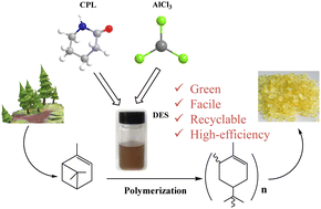 Graphical abstract: Polymerization of α-pinene catalyzed by Lewis acidic deep eutectic solvents