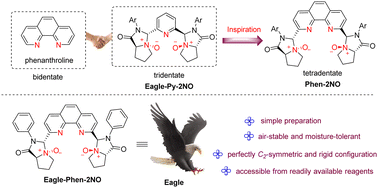 Graphical abstract: Phen-2NO, a new C2-symmetric rigid-featured tetradentate ligand, and its application in the asymmetric alkylation reaction of indoles