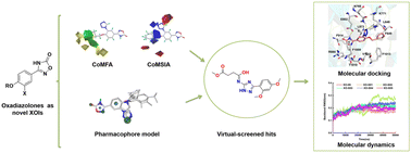 Graphical abstract: Exploration of novel non-purine xanthine oxidase inhibitors based on oxadiazolones by an integrated simulation study